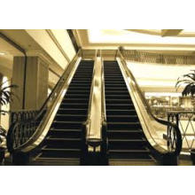 2015 New Product Safe and Low Noise Escalator of Japan Technology (FJ6000-1)